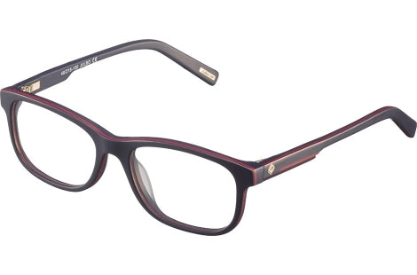 Julbo SURREY